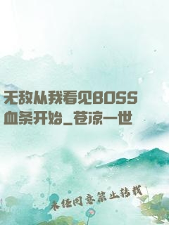 无敌从我看见BOSS血条开始