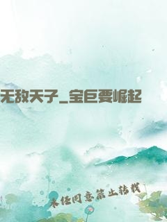 无敌天子