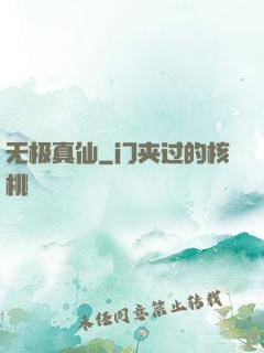 无极真仙