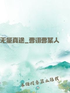无量真途
