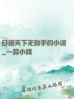 日遍天下无敌手的小说