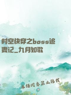 时空快穿之boss追妻记