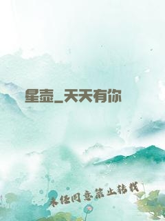 星壶