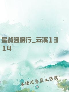 星战盗将行