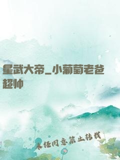 星武大帝