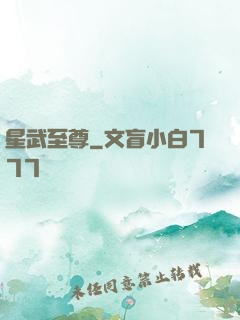 星武至尊