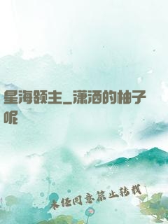 星海领主