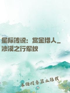 星际传说：赏金猎人