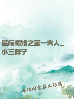 星际暖婚之第一夫人