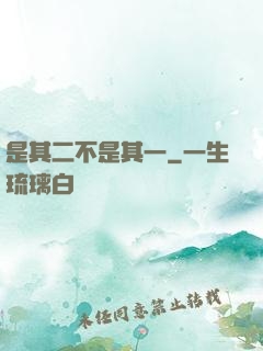 是其二不是其一