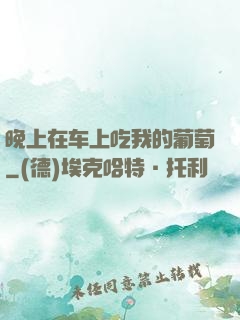 晚上在车上吃我的葡萄