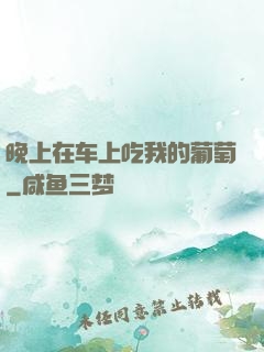 晚上在车上吃我的葡萄