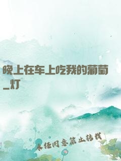 晚上在车上吃我的葡萄