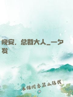晚安，总裁大人