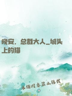 晚安，总裁大人