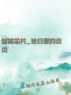 智能芯片
