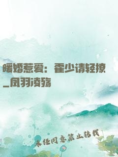 暖婚惹爱：霍少请轻撩