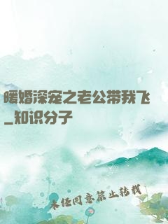 暖婚深宠之老公带我飞