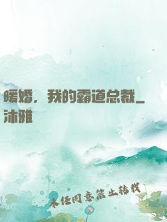 暖婚，我的霸道总裁