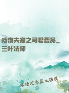 暗夜夫宠之司君要命