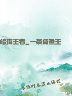 暗夜王者