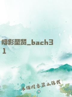 暗影圣贤