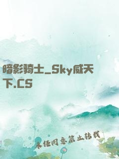 暗影骑士