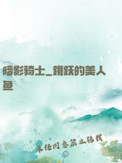 暗影骑士
