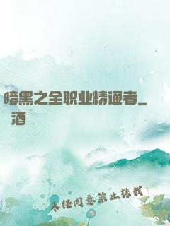 暗黑之全职业精通者
