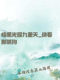 暗黑光耀九重天
