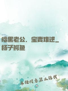 暗黑老公，宝妻难逑