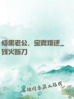 暗黑老公，宝妻难逑