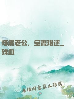 暗黑老公，宝妻难逑