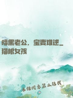 暗黑老公，宝妻难逑