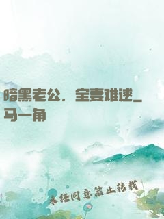 暗黑老公，宝妻难逑
