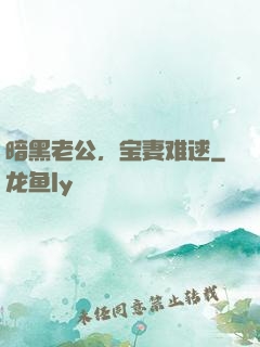 暗黑老公，宝妻难逑