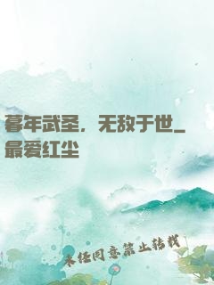 暮年武圣，无敌于世