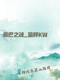 曼巴之魂