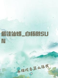 最佳仙婿