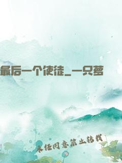 最后一个使徒