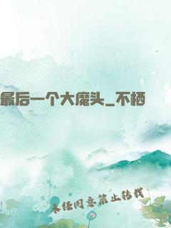 最后一个大魔头