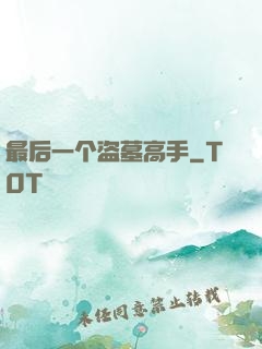 最后一个盗墓高手