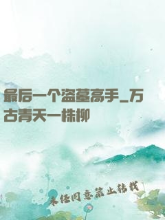 最后一个盗墓高手
