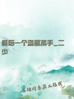 最后一个盗墓高手