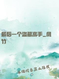 最后一个盗墓高手