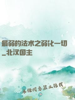 最弱的法术之弱化一切