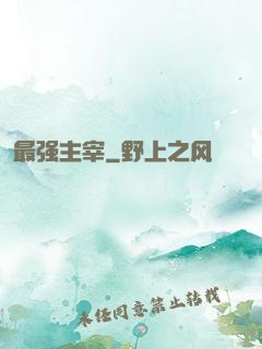 最强主宰
