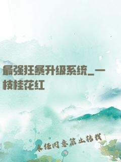 最强狂暴升级系统