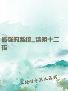 最强的系统
