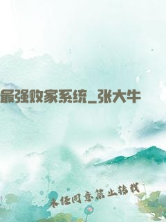 最强败家系统